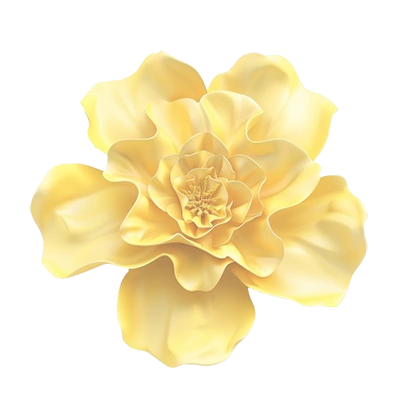 Dewdi Nail and Head Spa